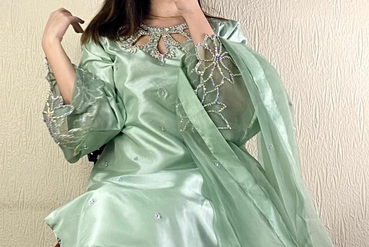 Elvora Elegant Party Wear Dress